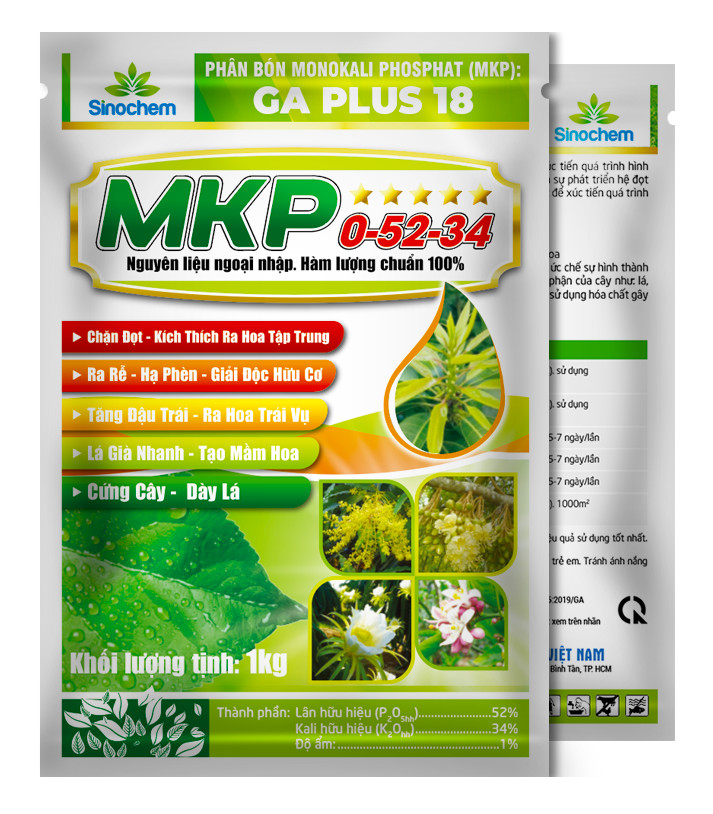 Sử dụng phân bón MKP để đạt tối ưu hiệu quả giúp lúa ra rễ mạnh - chống đổ ngã - hạ phèn rửa độc hữu cơ.