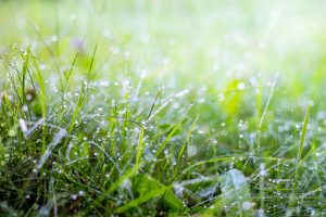 Lượng nước mưa đầu mùa luôn chứa nhiều chất gây độc hại, chất trong khói bụi công nghiệp,…dễ tích tụ lượng axit cao trong nước mưa.