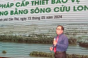 PGS-TS Lê Anh Tuấn cho biết diện tích rừng bị khô, cháy và hư hỏng, sụp công trình năm 2024 cao hơn năm 2016 và năm 2020