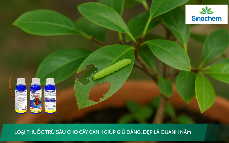 thuoc-tru-sau-cho-cay-canh