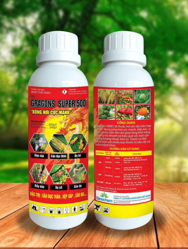 sau-duc-than-tren-chuoi