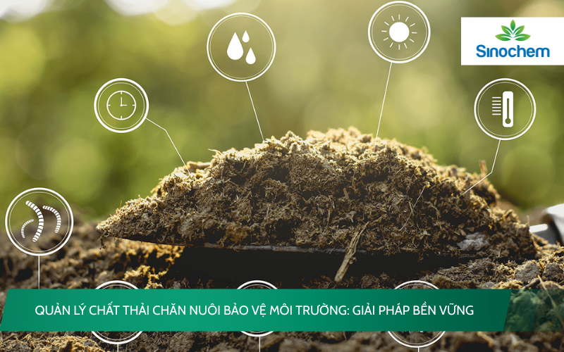Quản lý chất thải chăn nuôi bảo vệ môi trường
