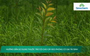 thuoc-tru-co-cho-cay-keo