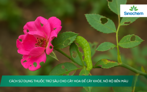 thuoc-tru-sau-cho-cay-hoa