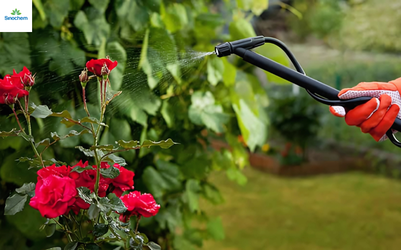 thuoc-tru-sau-cho-cay-hoa