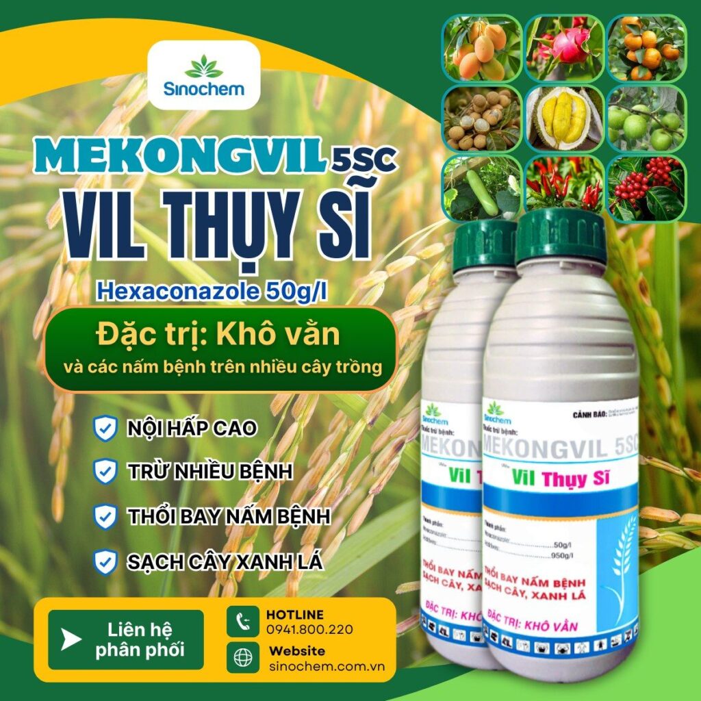 BỘ 3 CHIẾN BINH TRỪ BỆNH