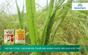 DIỆT RẦY 277WP
