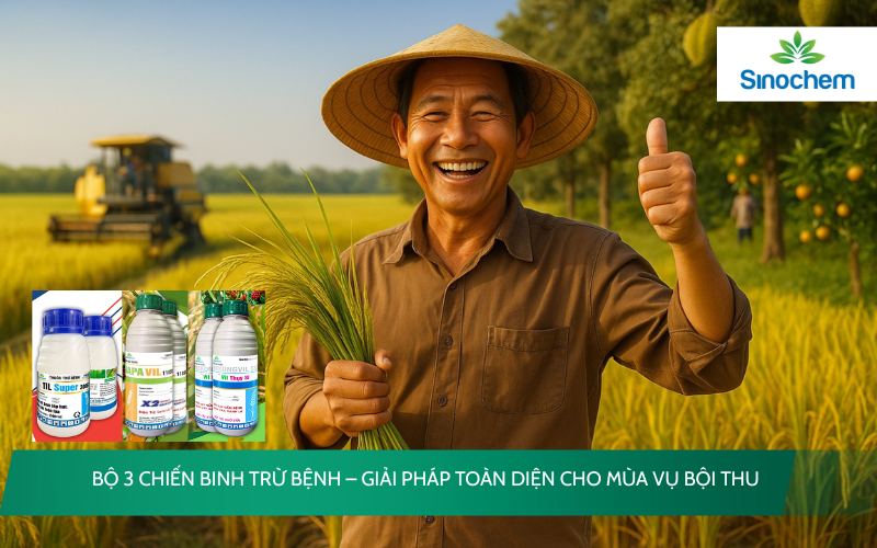 BỘ 3 CHIẾN BINH TRỪ BỆNH