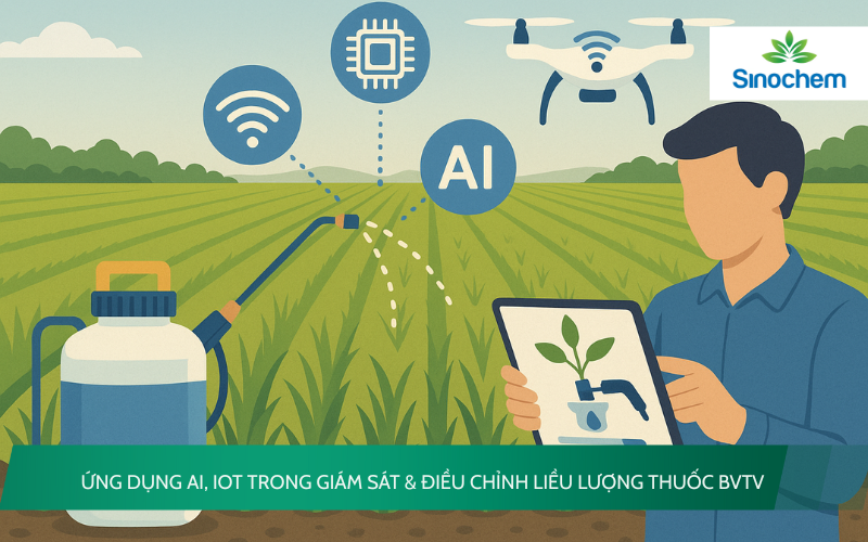 AI, IoT trong giám sát và điều chỉnh liều lượng thuốc BVTV