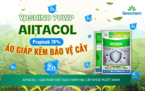 AIITACOL 70WP