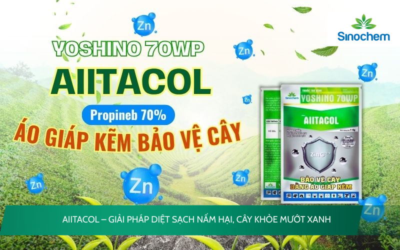 AIITACOL 70WP