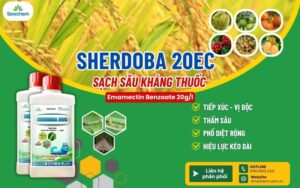 SHERDOBA 20EC