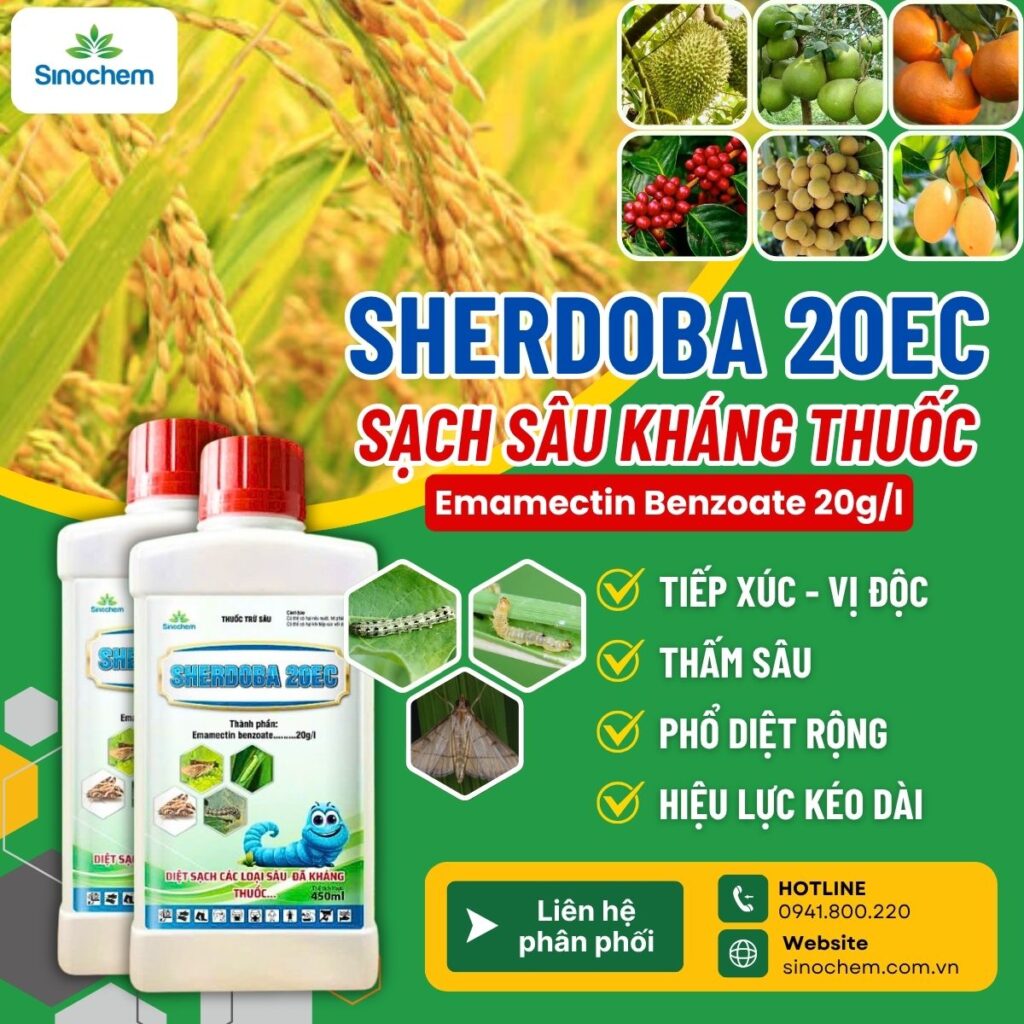 phân biệt thuốc hóa học và thuốc sinh học