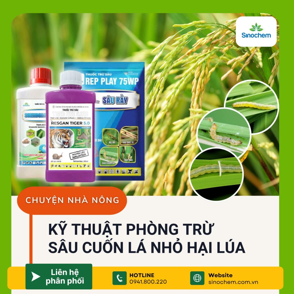 Phân khúc thị trường thuốc trừ sâu tiềm năng nhất hiện nay