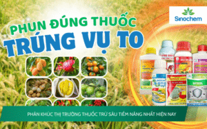 Phân khúc thị trường thuốc trừ sâu tiềm năng nhất hiện nay