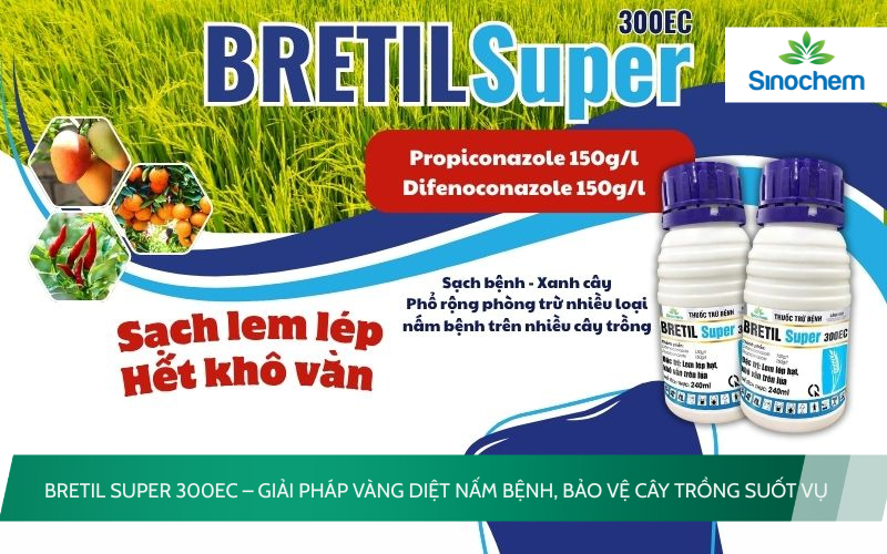 BRETIL SUPER 300EC