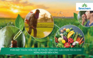 phân biệt thuốc hóa học và thuốc sinh học