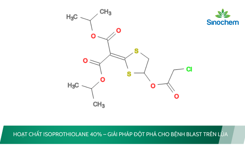 Hoạt chất Isoprothiolane