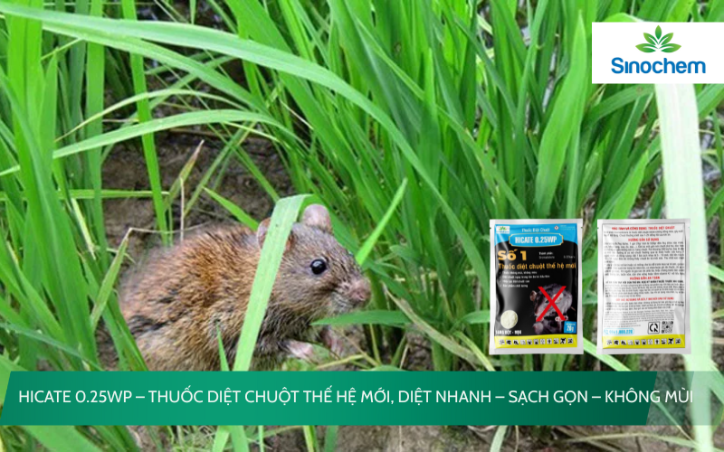 HICATE 0.25WP