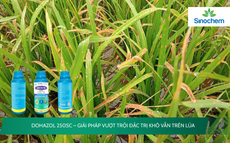 DOHAZOL 250SC
