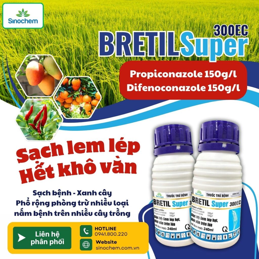 BRETIL SUPER 300EC