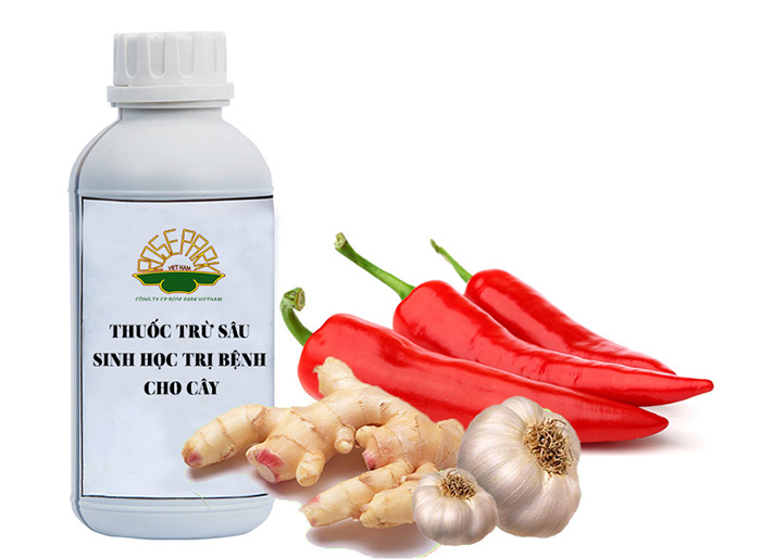 phân biệt thuốc hóa học và thuốc sinh học