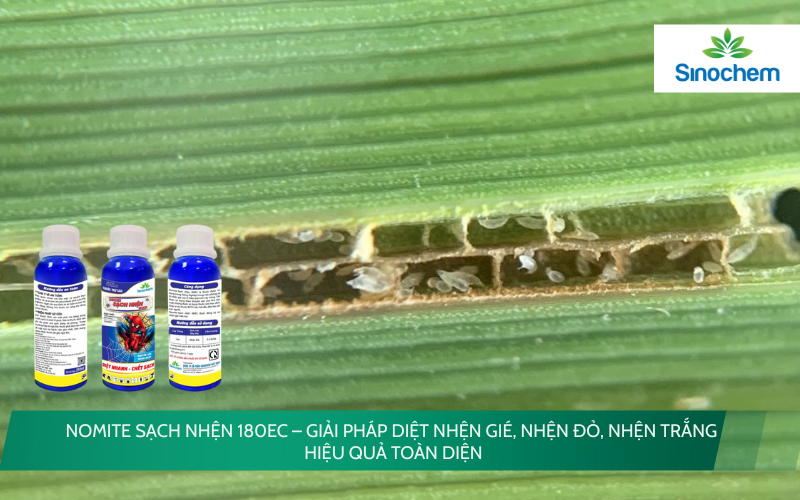 NOMITE SẠCH NHỆN 180EC