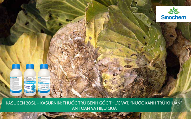 KASUGEN 20SL – KASURNIN