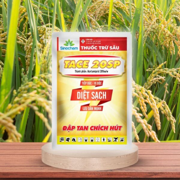 TACE 20SP