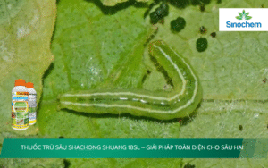 Shachong Shuang 18SL