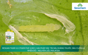 RESGAN TIGER 5.0 (TIGER FIVE 5.0EC)