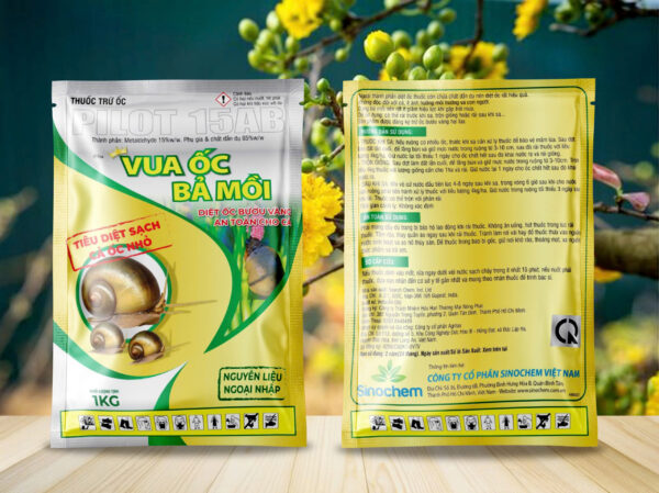 PILOT 15AB – Vua Ốc Bả Mồi