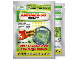 thuốc trị bệnh đạo ôn lá