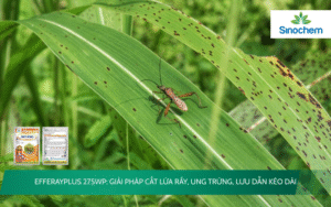 EFFERAYPLUS 275WP