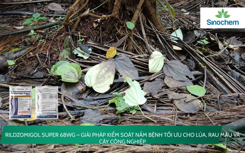 RILDZOMIGOL SUPER 68WG