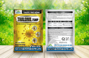 bệnh Đốm vòng cà chua 