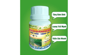 G.A 21 Hiệu Siêu Bám Dính