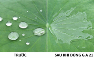 G.A 21 Hiệu Siêu Bám Dính