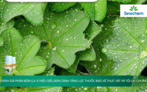 G.A 21 Hiệu Siêu Bám Dính