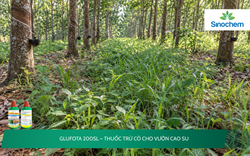 GLUFOTA 200SL